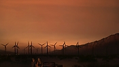 hiddenpalms102_2773.jpg