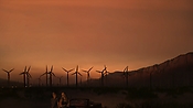 hiddenpalms102_2774.jpg