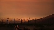 hiddenpalms102_2775.jpg
