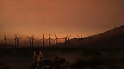 hiddenpalms102_2784.jpg
