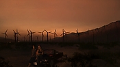 hiddenpalms102_2791.jpg