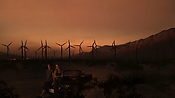 hiddenpalms102_2794.jpg