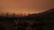 hiddenpalms102_2795.jpg
