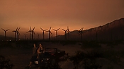 hiddenpalms102_2797.jpg