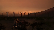 hiddenpalms102_2800.jpg
