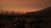 hiddenpalms102_2801.jpg