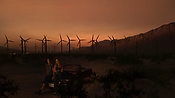 hiddenpalms102_2803.jpg