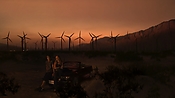 hiddenpalms102_2810.jpg