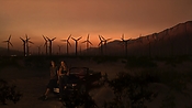 hiddenpalms102_2811.jpg