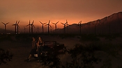 hiddenpalms102_2818.jpg