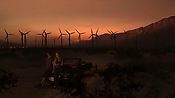 hiddenpalms102_2823.jpg