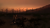 hiddenpalms102_2859.jpg