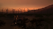 hiddenpalms102_2898.jpg