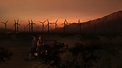 hiddenpalms102_2901.jpg