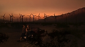 hiddenpalms102_2920.jpg