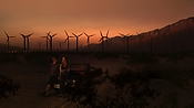 hiddenpalms102_2930.jpg