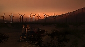 hiddenpalms102_2940.jpg