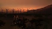 hiddenpalms102_2953.jpg