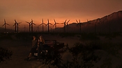 hiddenpalms102_2956.jpg