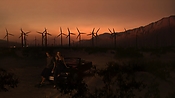 hiddenpalms102_4675.jpg