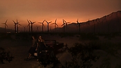 hiddenpalms102_4683.jpg