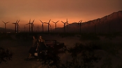 hiddenpalms102_4690.jpg