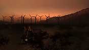 hiddenpalms102_4691.jpg