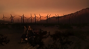 hiddenpalms102_4697.jpg