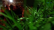 hiddenpalms102_6902.jpg