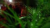 hiddenpalms102_6903.jpg