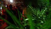 hiddenpalms102_6905.jpg