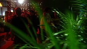 hiddenpalms102_6907.jpg