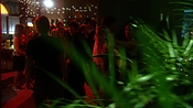 hiddenpalms102_6909.jpg