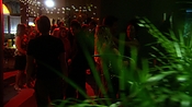hiddenpalms102_6910.jpg