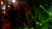 hiddenpalms102_6911.jpg
