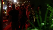 hiddenpalms102_6914.jpg