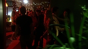 hiddenpalms102_6915.jpg