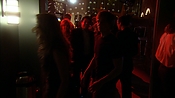 hiddenpalms102_6959.jpg
