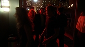 hiddenpalms102_6960.jpg