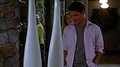 hiddenpalms106_4175.jpg