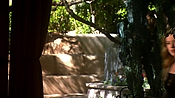 hiddenpalms108_1664.jpg