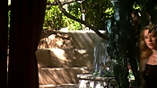 hiddenpalms108_1665.jpg