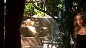 hiddenpalms108_1666.jpg