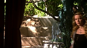 hiddenpalms108_1667.jpg