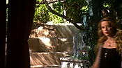 hiddenpalms108_1668.jpg