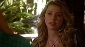 hiddenpalms108_1963.jpg