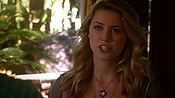 hiddenpalms108_2010.jpg