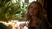 hiddenpalms108_2339.jpg