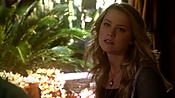 hiddenpalms108_2340.jpg