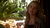 hiddenpalms108_2349.jpg
